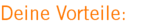 Deine Vorteile: Deine Vorteile: